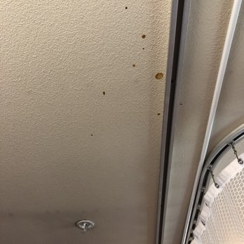 Brown Spots On The Ceiling In The Room Yelp