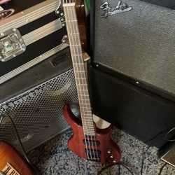 Ye Olde Music Shop - Repaired Frankenbass