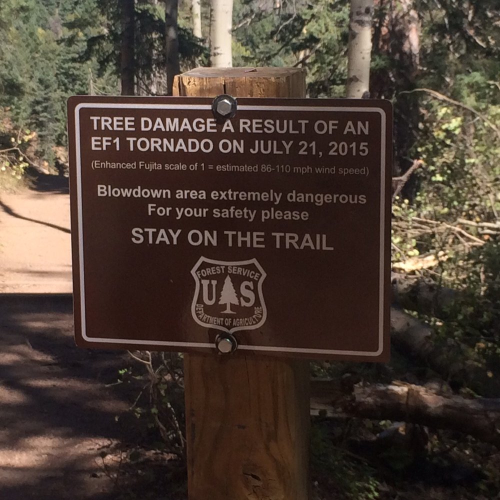 Devils Head Fire Tower - Hiking Near Me - Sedalia, Colorado