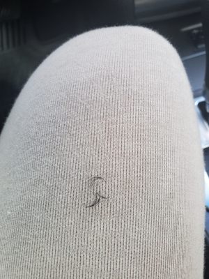 Jenn Pope’s Lashes