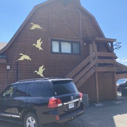 Bridger Thrift - Birds on side of building