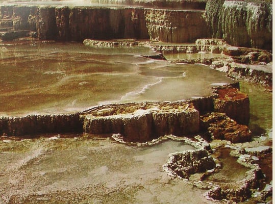 Mammoth Hot Springs by null