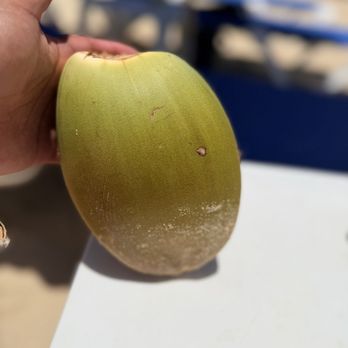 Bolongo Bay Beach Resort - Coconut cut from the tree ready to drink - Resorts Near Me - Saint Thomas, Virgin Islands