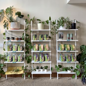 Lost Coffee - Coffee & Tea Near Me - Highlands Ranch, Colorado