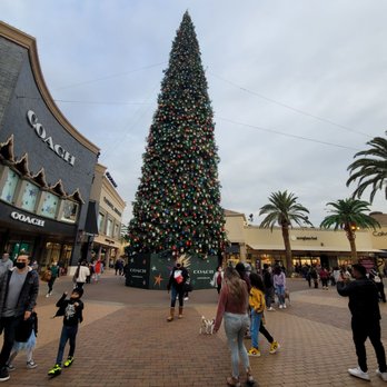 Citadel Outlets - A huge tree! - Outlet Stores Near Me - Los Angeles, California