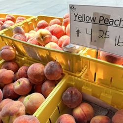 Borough Hall Greenmarket