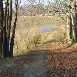 Bittweg auf den Petersberg - Der ehemalige Kutschweg