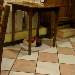 Osteria Buso del Goto - The owners dog being obedient and quite as they work