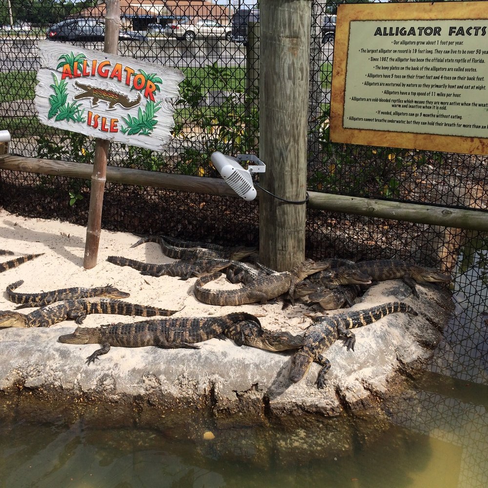 Congo River Golf - Mini Golf Near Me - Port Richey, Florida