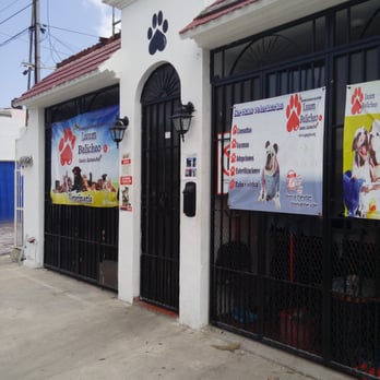 Luum Balicheo - La fachada - Veterinarians Near Me - Cancún, ROO Luum Balicheo - La fachada - Veterinarians Near Me - Cancún, ROO