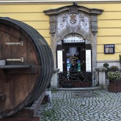 Restauracja Piwnica Ratuszowa - Restaurant through the door and down one flight.