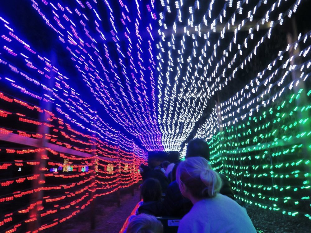 Photo of Griffith Park Train Ride  - Los Angeles, CA, United States