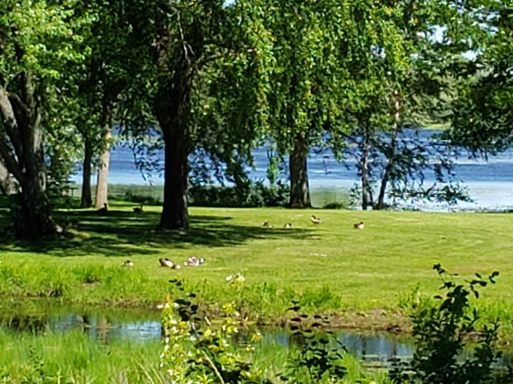 NEW LISBON RIVERSIDE PARK CAMPGROUND Updated September 2024 635 Hog