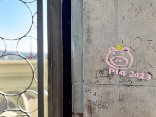 Grossmünster by null