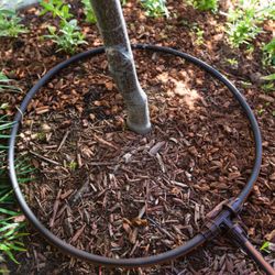 Eco Irrigation - Drip Irrigation and Upgrades in Raleigh