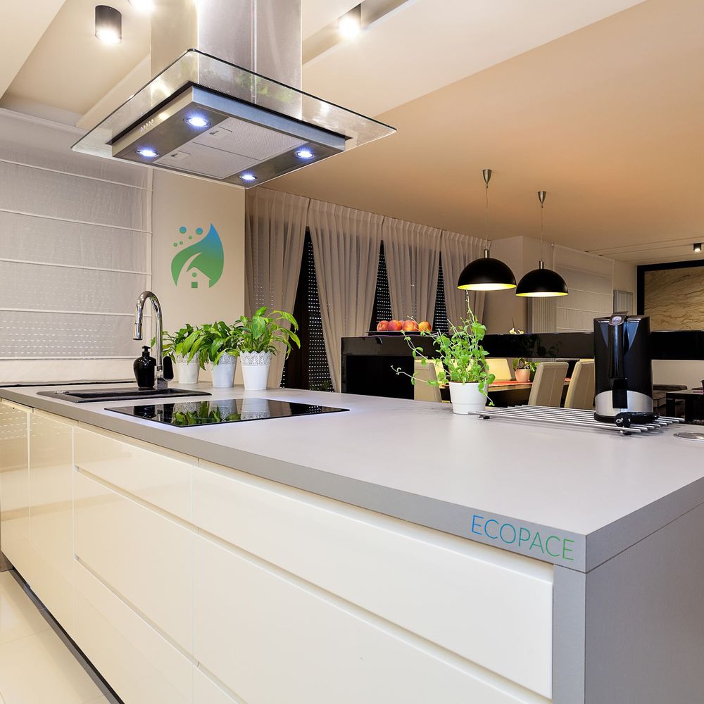 Slide of Ecopace Group