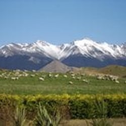 The Travel Team - We can help you with all your travel needs to New Zealand!