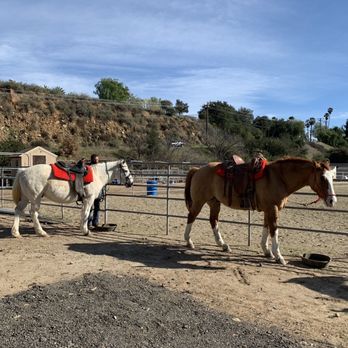 Equine Xscape - Luke and Moose, our horses - Horseback Riding Near Me - Ojai, California