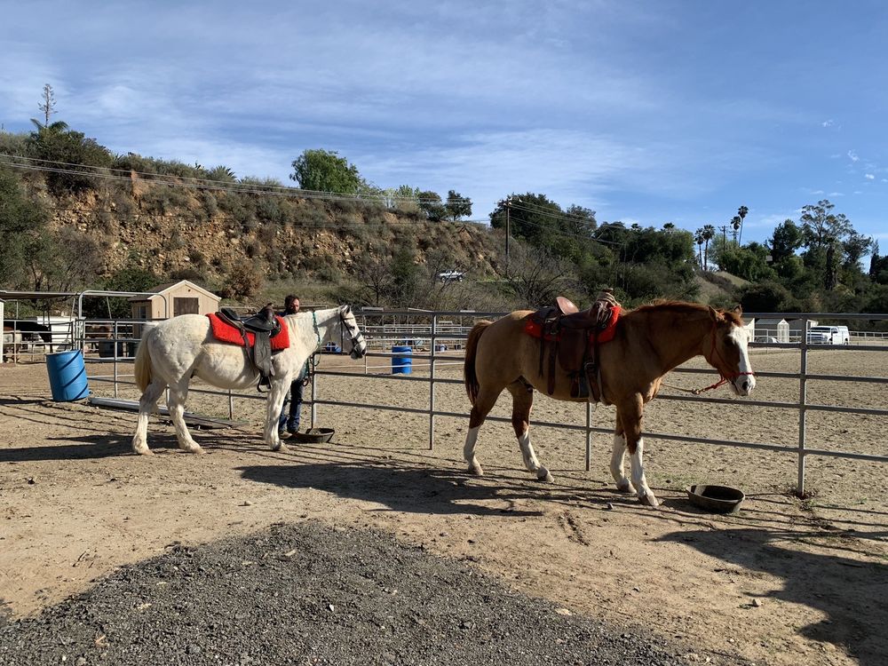 EQUINE XSCAPE Updated October 2024 57 Photos & 16 Reviews 1128