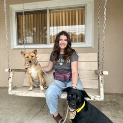 Magnolia Dog Academy