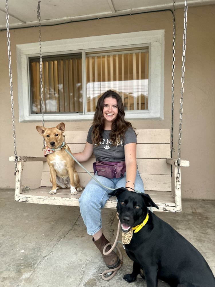 Magnolia Dog Academy - pet boarding facility in El Cajon, CA
