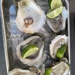 Oysters Oysters