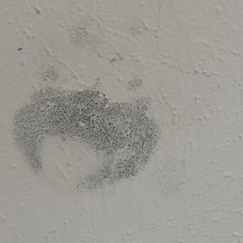 Prescott Place - Mold growing from the wall they just paint over it - Apartments Near Me - Mesquite, Texas