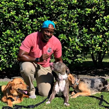 Elite Professional Dog Training - Pet Training Near Me - Sanford, Florida Elite Professional Dog Training - Pet Training Near Me - Sanford, Florida