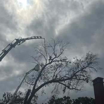 Martin's Tree Service - Tree Services Near Me - Hummelstown, Pennsylvania