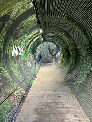 Kiwi Park Queenstown by null