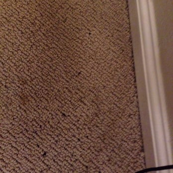The Cedars Apartments - Rat feces. Nice, huh? - Apartments Near Me - Seattle, Washington