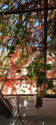 La Brasa de Ibiza by null