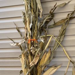 Riverside Farm Market - Corn Shocks