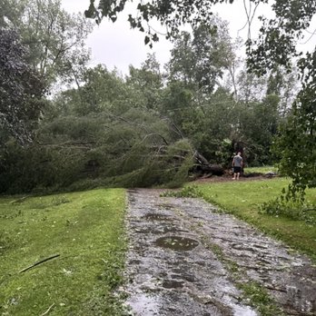Phillips Tree Service - Tree Services Near Me - Freeville, New York Phillips Tree Service - Tree Services Near Me - Freeville, New York