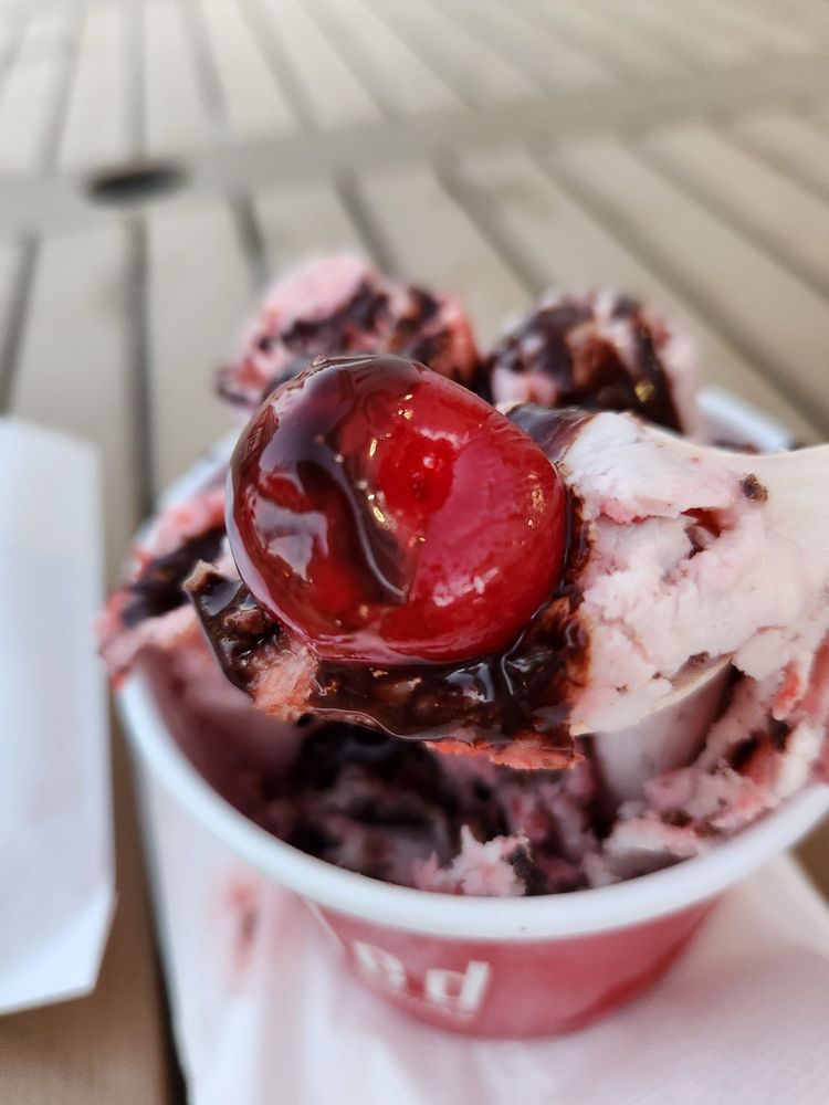 DORINDA’S CHOCOLATES DOWNTOWN RENO Updated August 2024 319 Photos