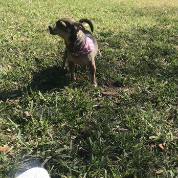Oakland Bark - Dog Parks Near Me - Oakland Park, Florida Oakland Bark - Dog Parks Near Me - Oakland Park, Florida