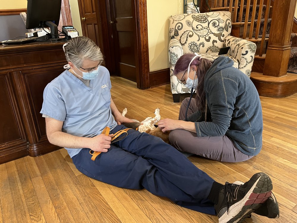 MOODUS VETERINARY PRACTICE Updated August 2024 5 Grist Mill Rd, East Haddam, Connecticut