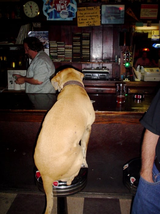 THE BUCKAROO TAVERN CLOSED Updated July 2024 43 Reviews 4201 N