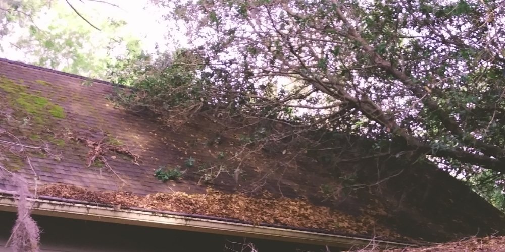 Slide of Lowcountry Roof Repairs