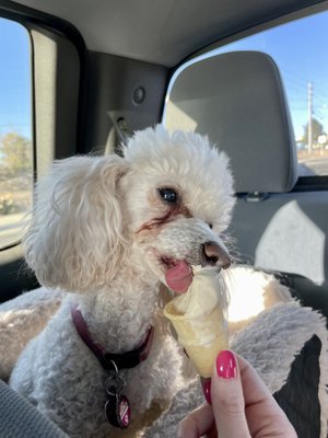 Caliche’s Frozen Custard by null