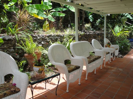 The Green Iguana Hotel by null