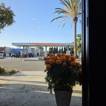 Gio's Café - The view from the inside looking out onto Century Blvd. I loved the cempasuchil plant displayed outside - Coffee & Tea Near Me - Inglewood, California