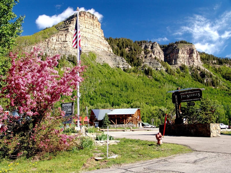 NEEDLES TOWNHOMES 12 Photos 46850 Hwy 550, Durango, Colorado