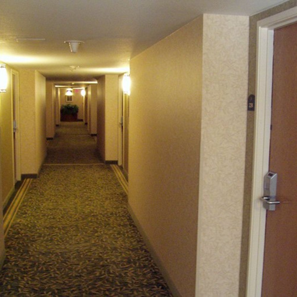 Maple Tree Inn - Corridor - Hotels Near Me - Sunnyvale, California Maple Tree Inn - Corridor - Hotels Near Me - Sunnyvale, California