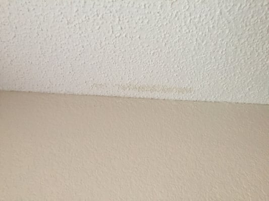 Holiday Inn Express Brentwood South - Franklin by null