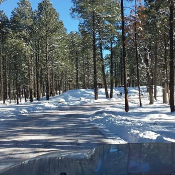 Bearizona - Beautiful in the snow - Zoos Near Me - Williams, Arizona