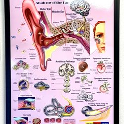 Hearing Aid Systems