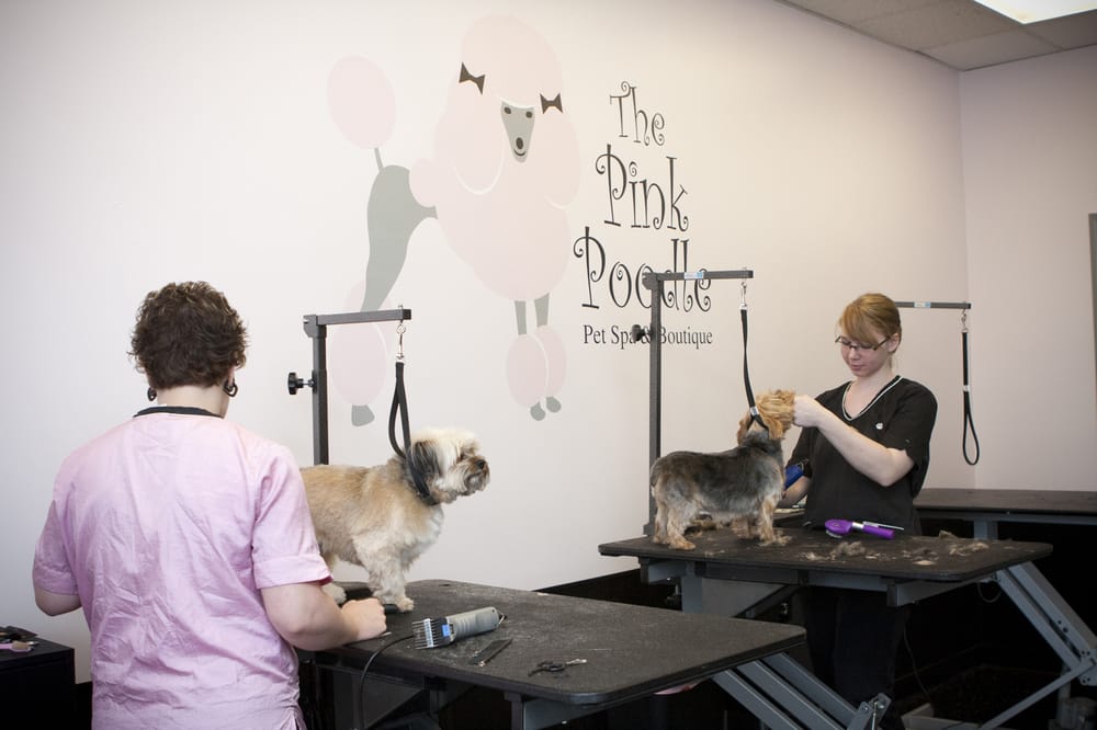 THE PINK POODLE PET SPA & BOUTIQUE Updated September 2024 11 Photos