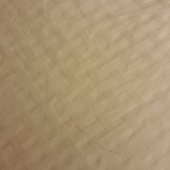 DoubleTree by Hilton - Berkeley - Hair and dog hair on sheet. - Hotels Near Me - Berkeley, California