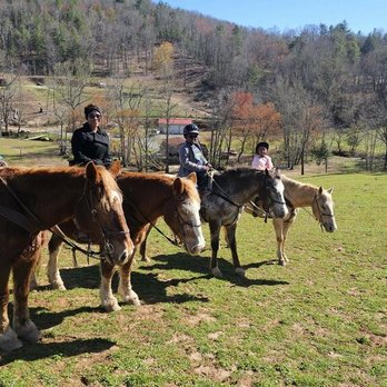 Cowgirl Up Stables - A beautiful day to go for a ride - Horseback Riding Near Me - Cherry Log, Georgia